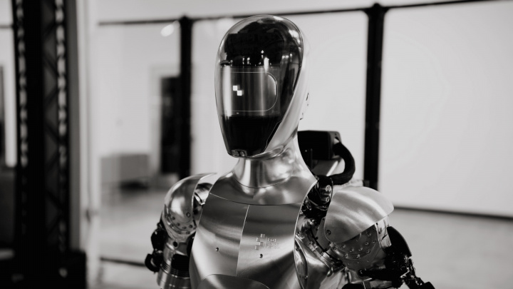 The Future of Humanoid Robots