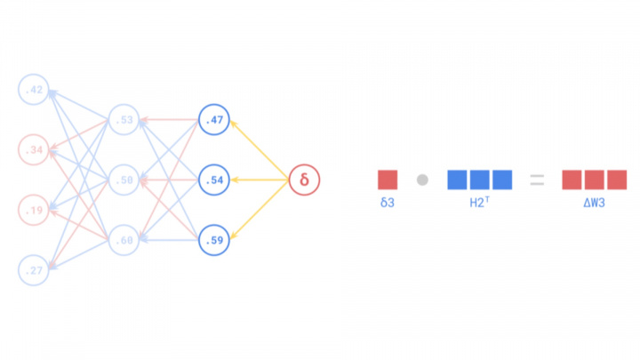 The Development of Backpropagation