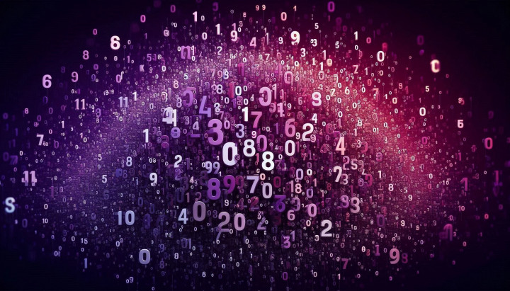 The Most Common Numerical Formats for LLMs